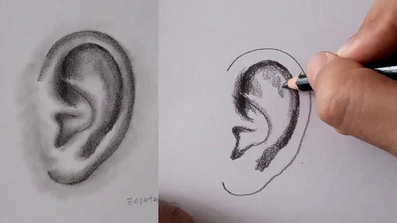 ¿Cómo dibujar una OREJA realista? | How to draw EAR