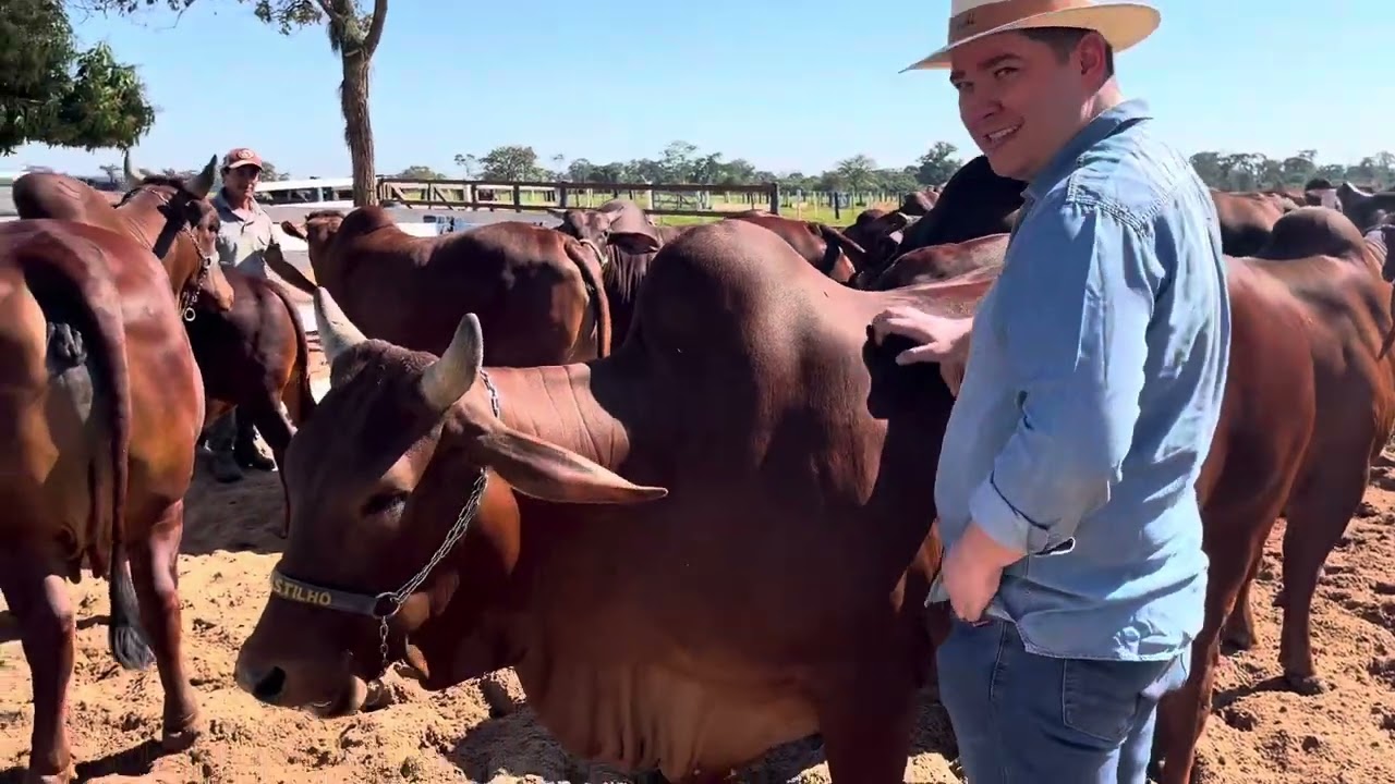 Foi uma satisfação em conhecer e receber o Valmir e esposa Grace na Faz.Tabaju 25/6/23