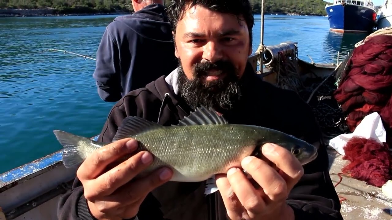 Kako se pecaju brancini i ušate na otoku Ugljan