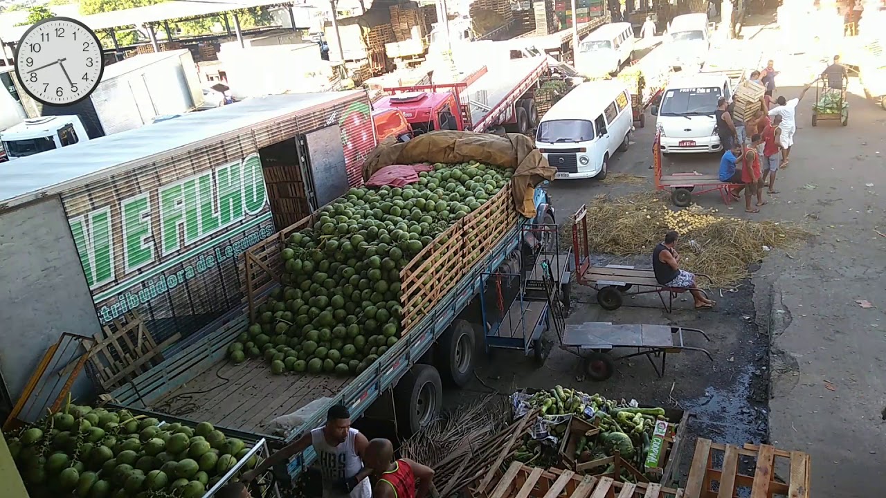 Caminhão de coco sendo descarregado