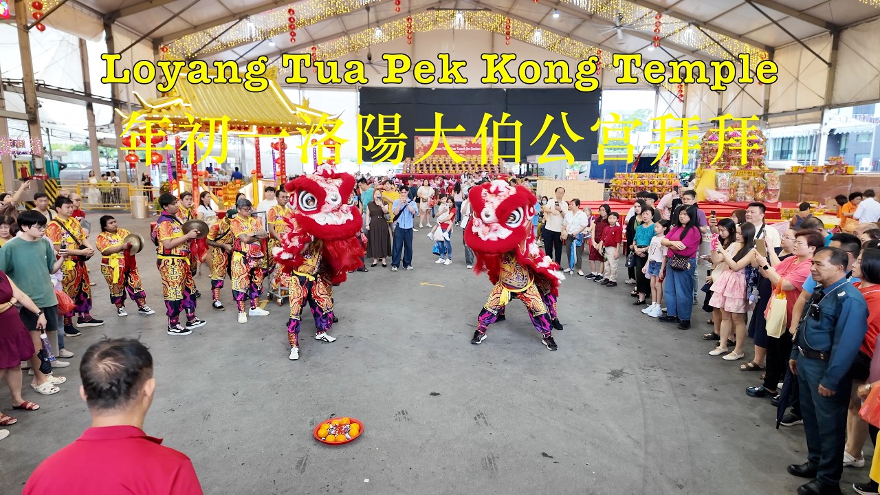 年初一洛陽大伯公宫拜拜 Loyang Tua Pek Kong Temple #singapore #cny2026 #temple