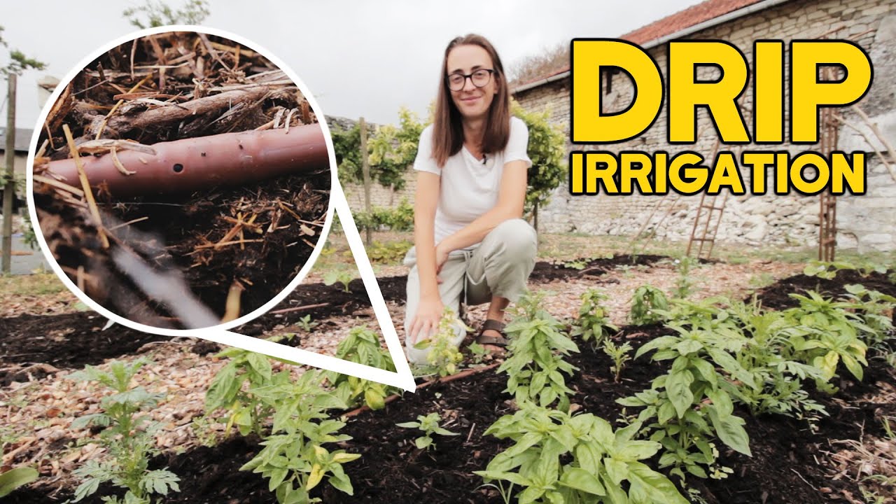 How to install a closed loop DRIP IRRIGATION system for vegetable gardens