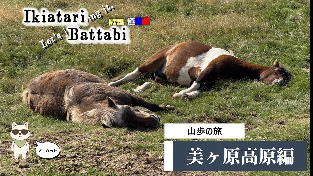 【日本百名山】山歩の旅～美ヶ原高原編ノーカット～【行き当たりばっ旅 with 道迷犬】