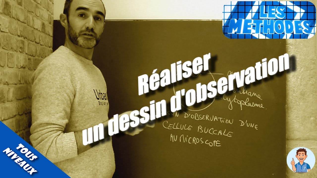 MÉTHODE : Réaliser un dessin d'observation en SVT