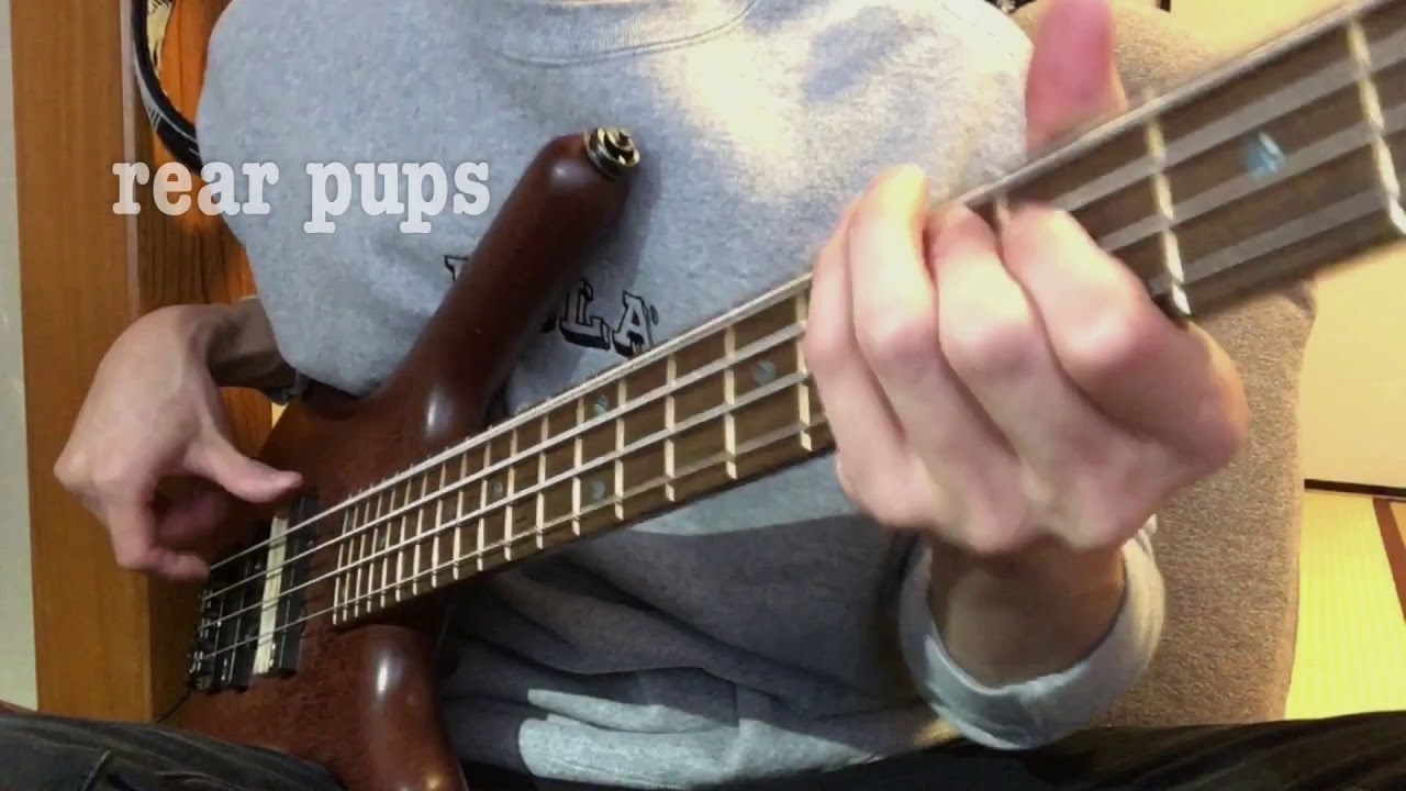 warwick corvette standard with EMG J-set