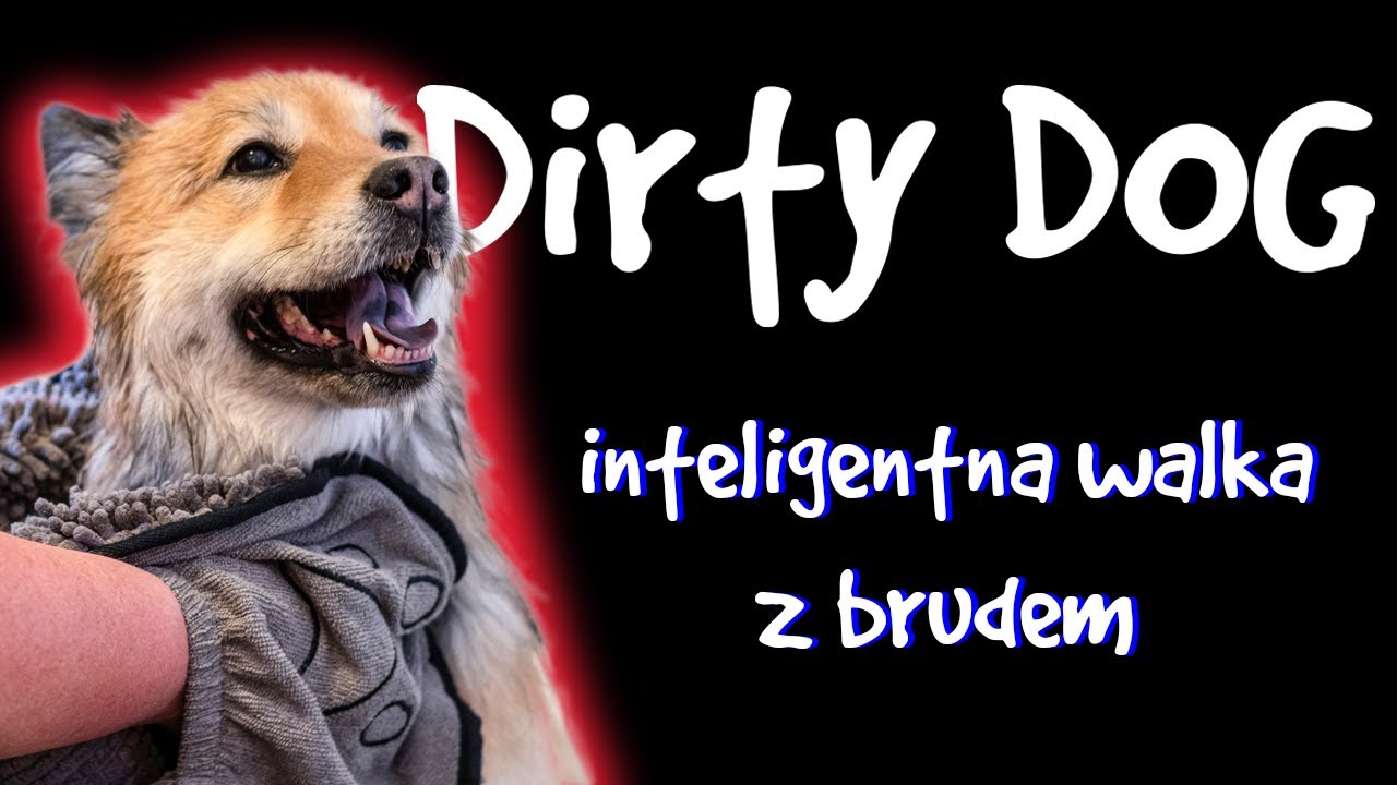 Dirty Dog - inteligentna walka z brudem! 🐶🐈