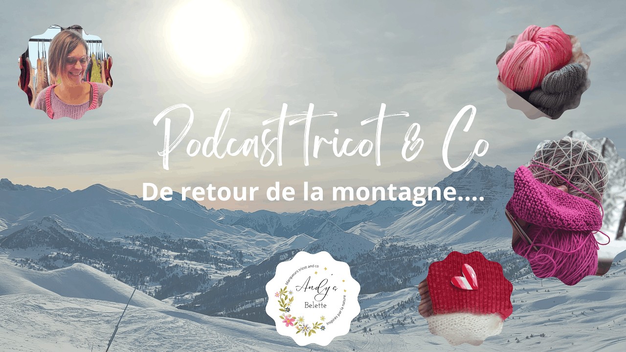 Podcast tricot; avancé et viré à Entre deux laines,...