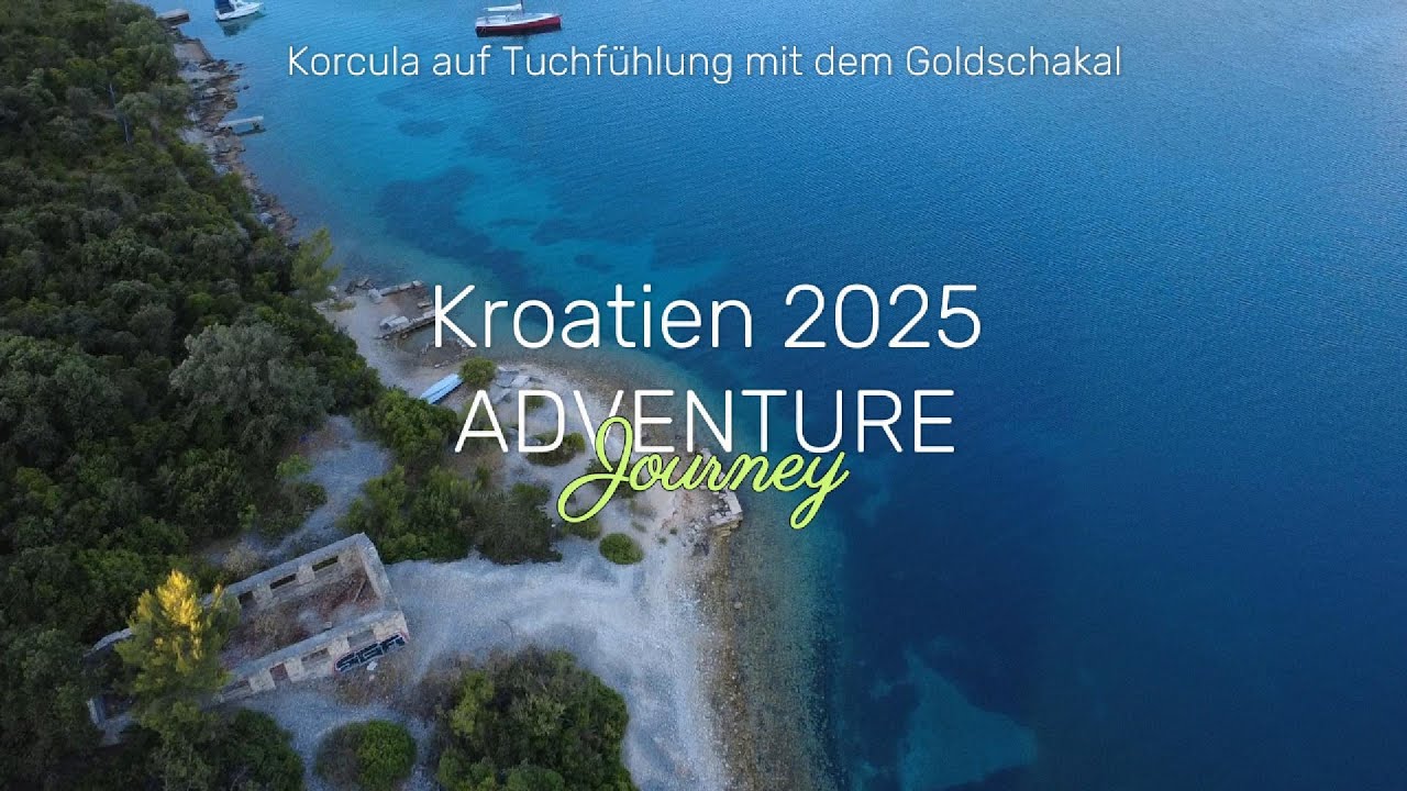 2025 Begegnung mit einem Goldschakal #kroatien #korcula #wohnmobil #reiseabenteuer #reisenmithund