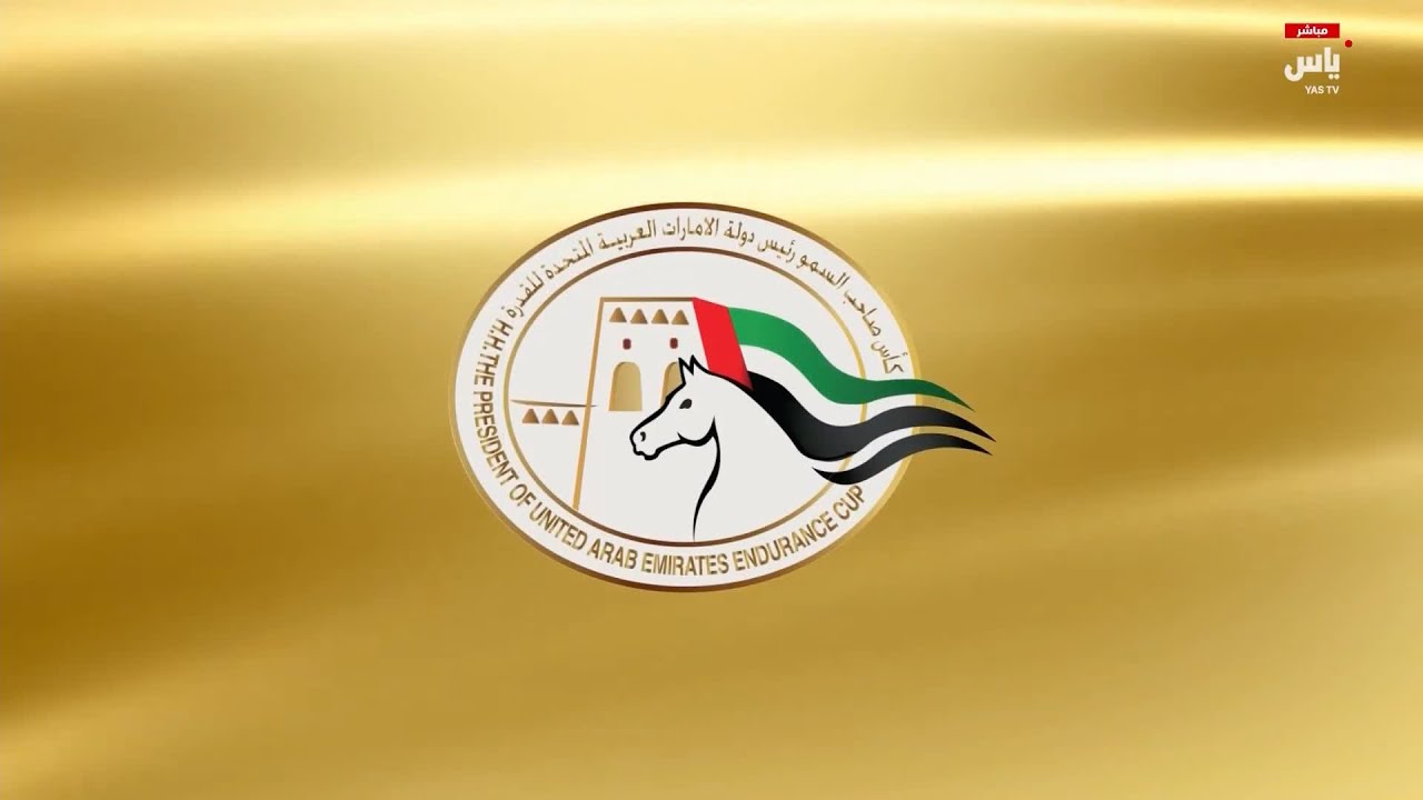 الملتقى العالمي للقدرة - ندوة الإعلام والاتصال - 10 فبراير 2026.