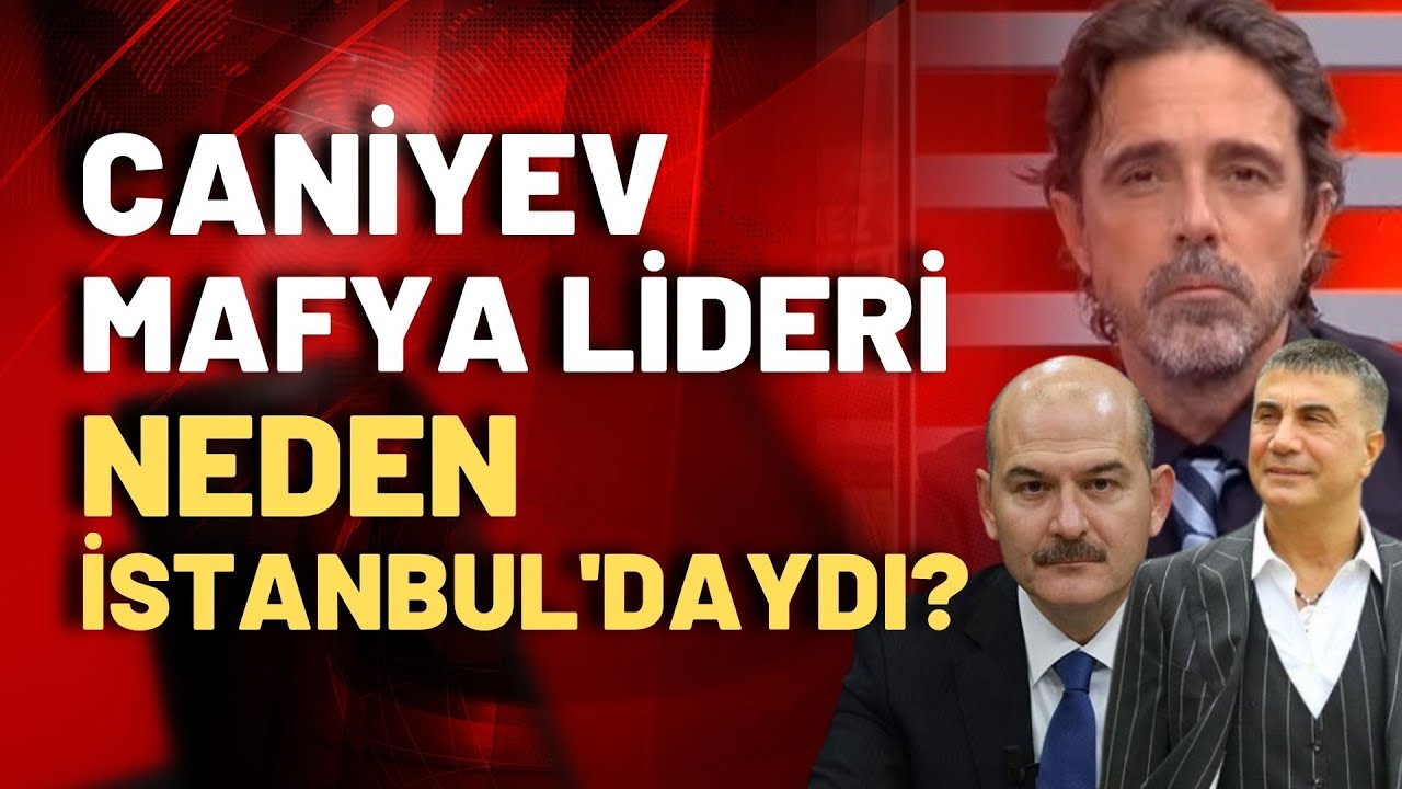 Caniyev mafya lideri neden istanbul'daydı? Timur Soykan: Tüm Dünyanın mafyası Türkiye'de yapılanmış!