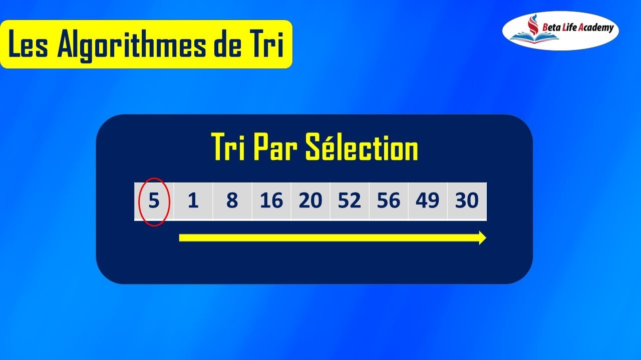 Informatique | Algorithme de Tri par Sélection