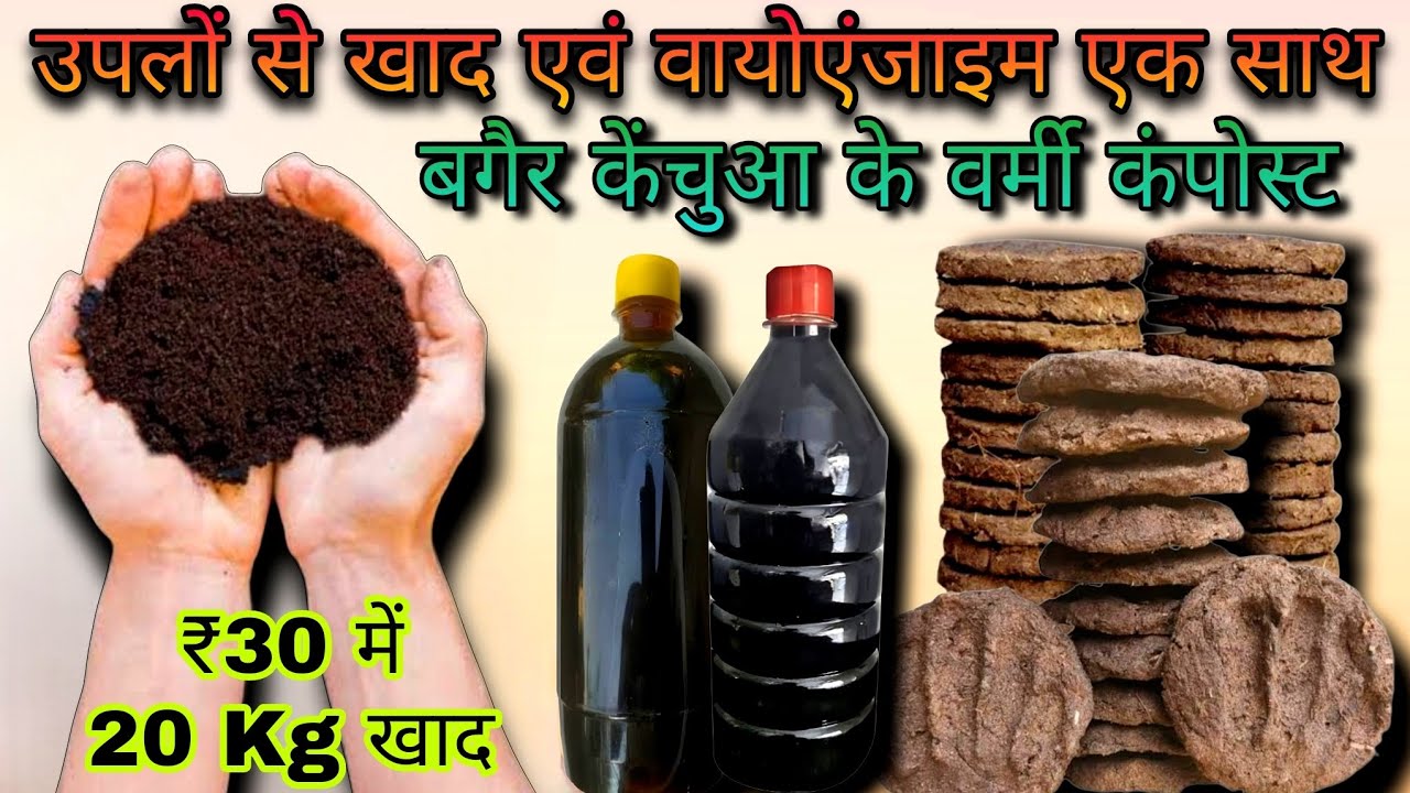 घर पर गोबर के कंडों को डीकंपोज करके बनाए वर्मी कंपोस्ट से 10 गुना ज्यादा शक्तिशाली देशी खाद