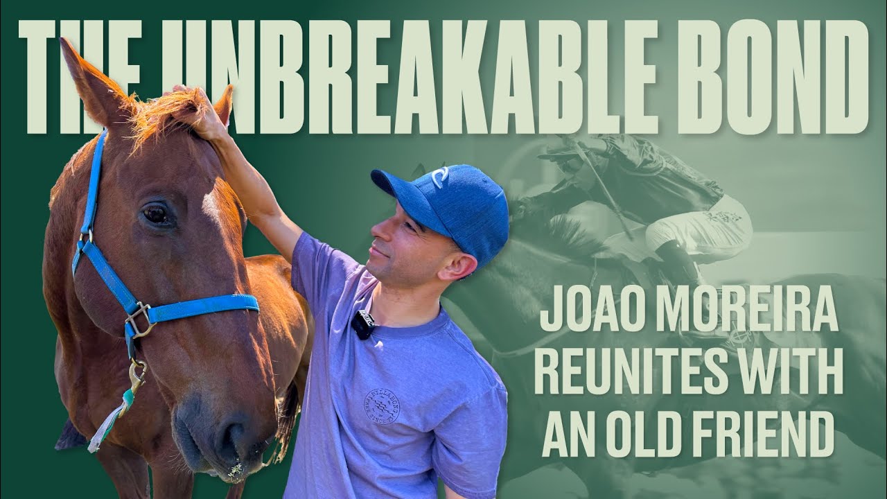 MAGIC MOMENT | Joao Moreira Reunited With His &lsquo;Gentle Giant&rsquo; Able Friend