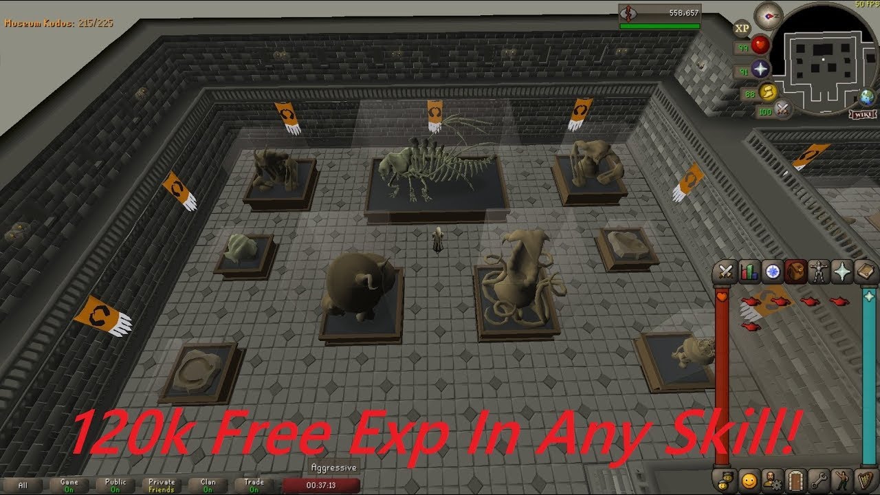 How To Complete Fossil Displays - 120K Free Exp In Any Skill - OSRS Fossil Island Fossils