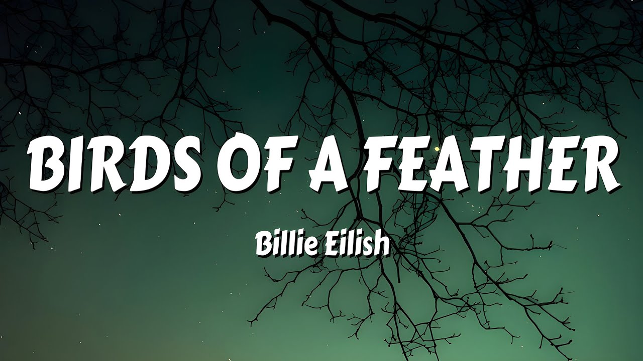 Billie Eilish - BIRDS OF A FEATHER (Lyrics)