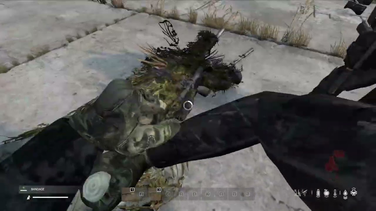Viewer PVP matches!! #dayz #dayzpvp #dayzgameplay #dayzcommunity #dayzgamers #gaming #pvp #twitch