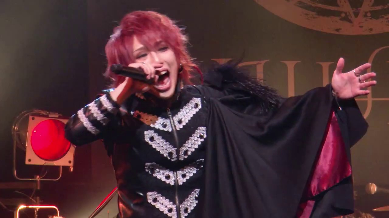 JILUKA / Faizh (from LIVE DVD 