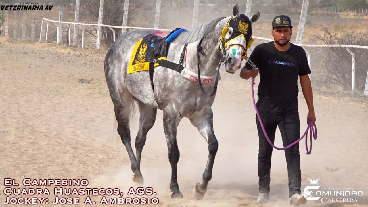 🔥Campesino 🧑‍🌾 Vs. Ferrari 🏎️.🔥 Carril San Angel, JAL.