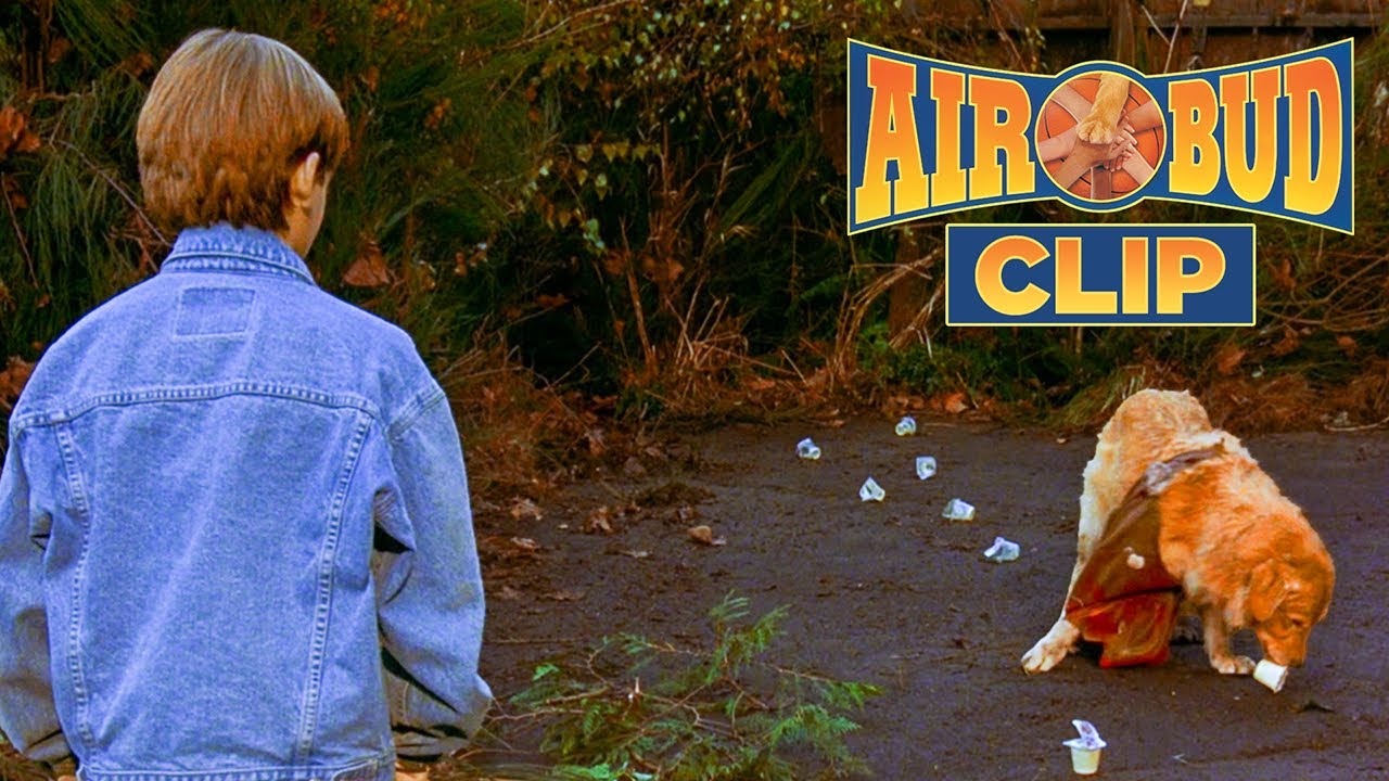Josh Meets Buddy | Air Bud Clip