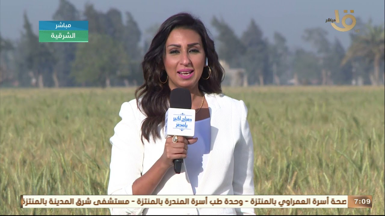 منة الشرقاوي من أكرم محافظة في مصر 