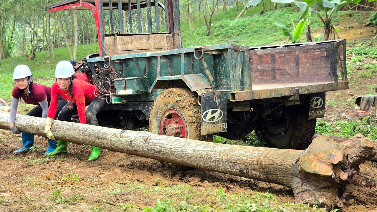 The two girls lifted the large logs using only their own strength vehicle. Keep trying!#wood #truck 