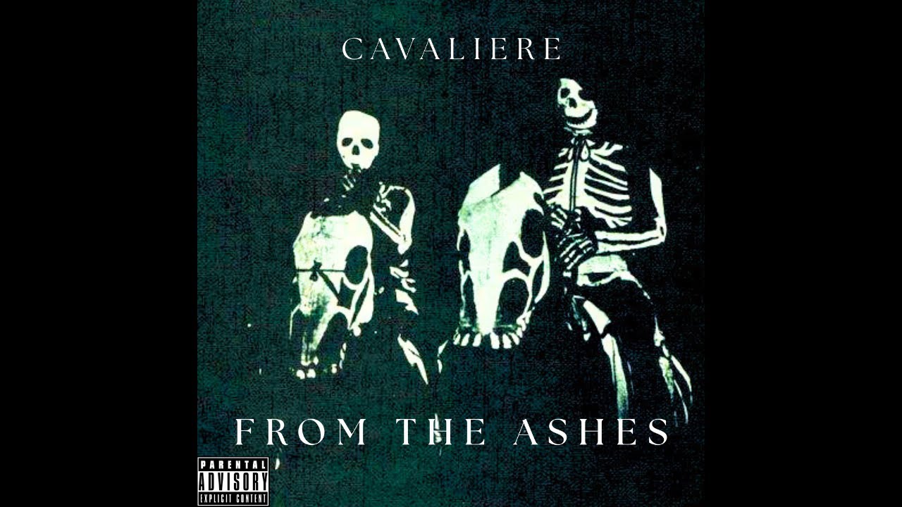 Cavaliere - blue rose