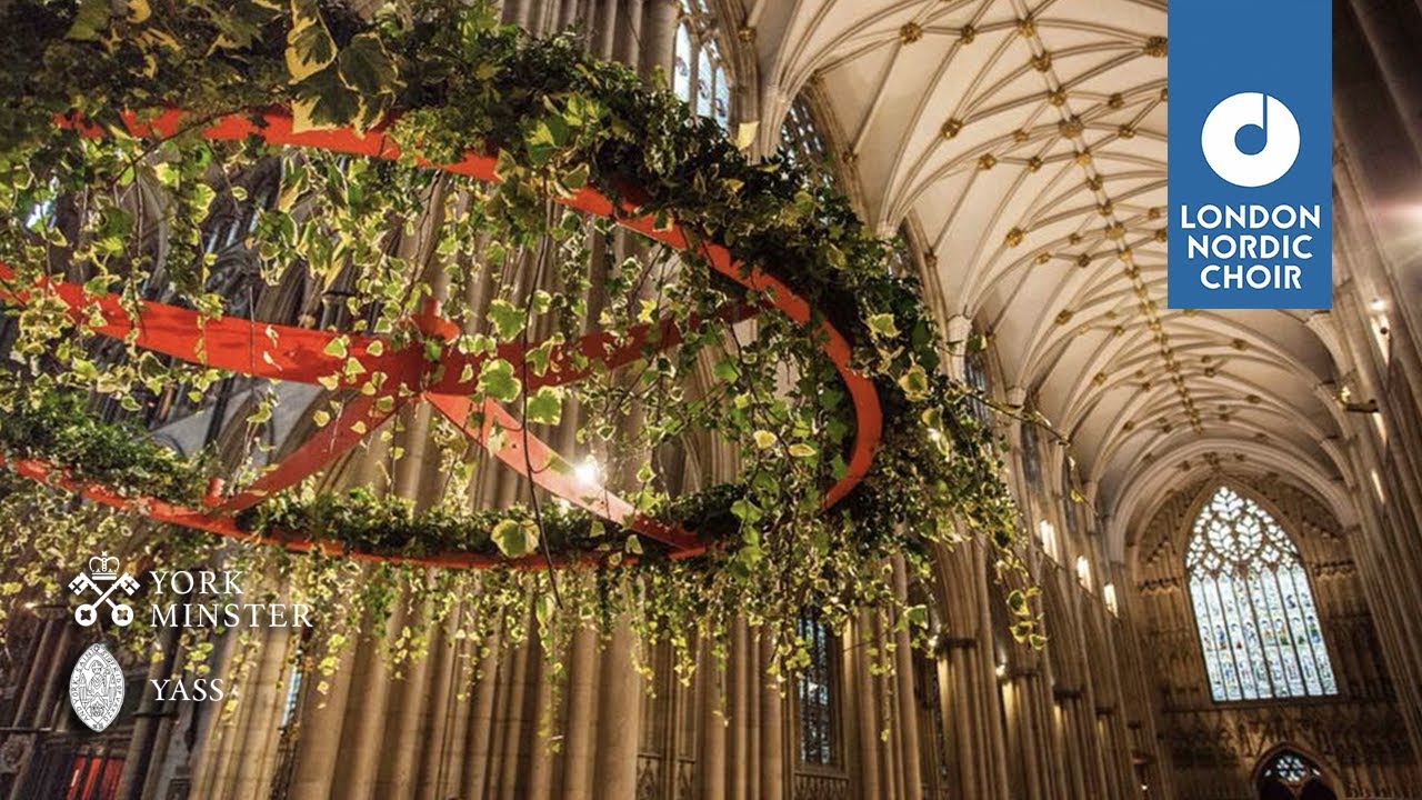 Sankta Lucia procession · London Nordic Choir | York Minster