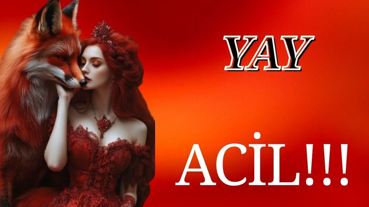 СТРЕЛЕЦ 🔥 Что вам нужно услышать срочно