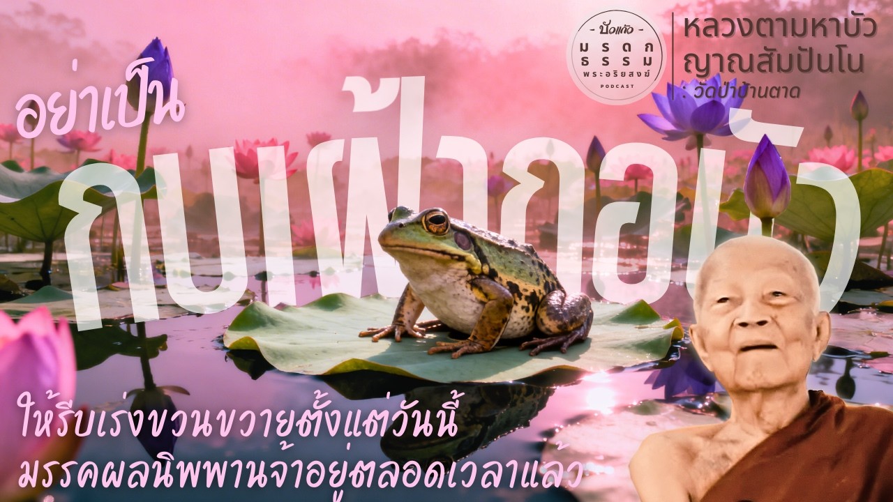 อย่าเป็นกบเฝ้ากอบัว | หลวงตามหาบัว ญาณสัมปันโน | วัดป่าบ้านตาด | มรดกธรรม พระอริยสงฆ์ [ บัวแก้ว ]