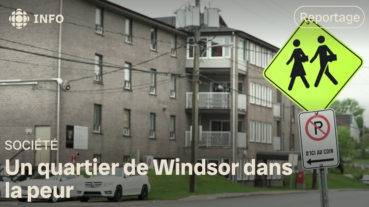 Une maison de chambres plonge un quartier scolaire de Windsor dans la peur