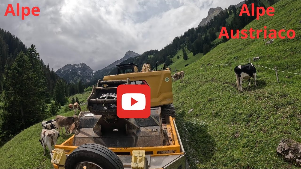 Transport vom Rellstal; Alpe hinunter (Transporte de Rellstal; Alpe para baixo )