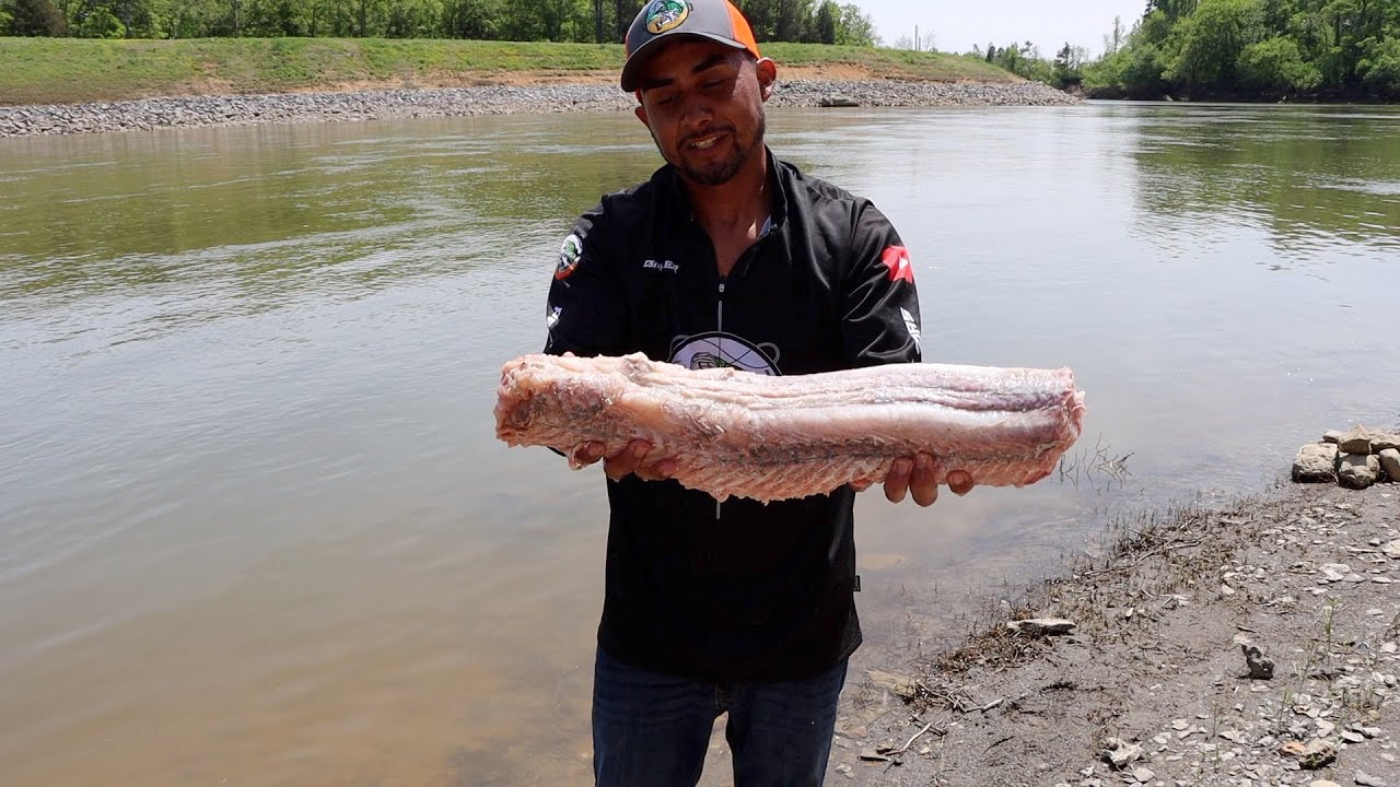 Pesca Y Cocina De Este Rico Pez