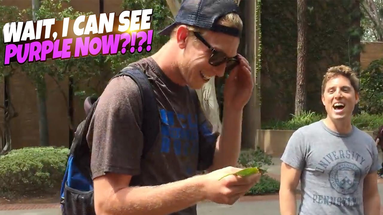 Purple is CRAZY!!! EnChroma Color blindness glasses test!