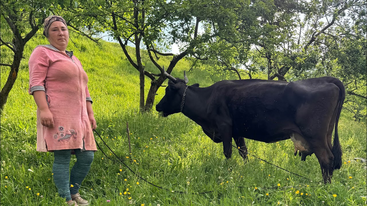 Living Off the Grid in the Mountains | Tamara & Her Husband’s Simple Life in the Carpathians