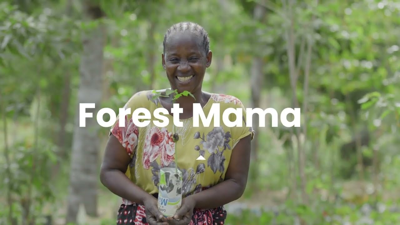 Forest Mama - Fighting Climate Change in Kenya