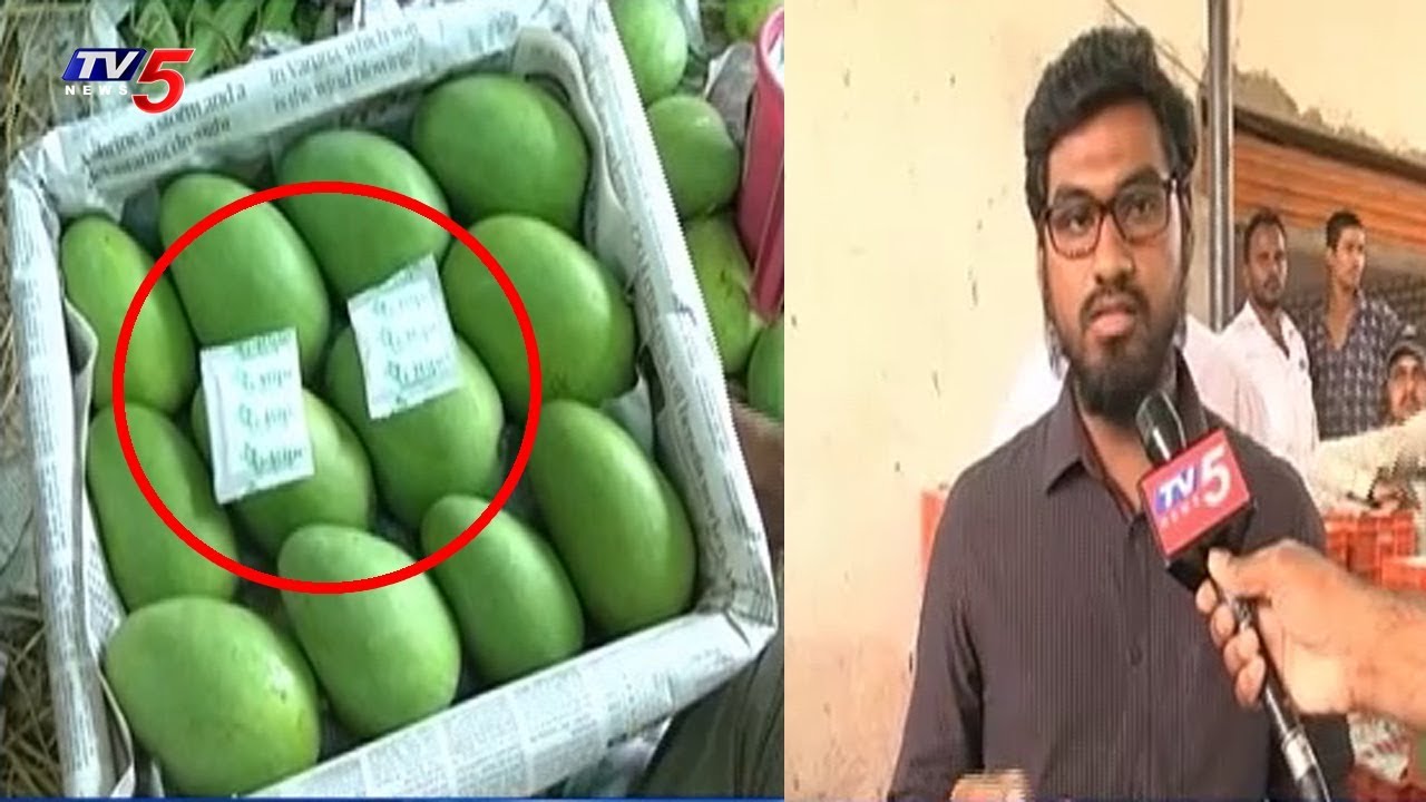 Ripening Mangoes In A Healthy Process At Gaddiannaram Fruit Market | Hyderabad | TV5 News