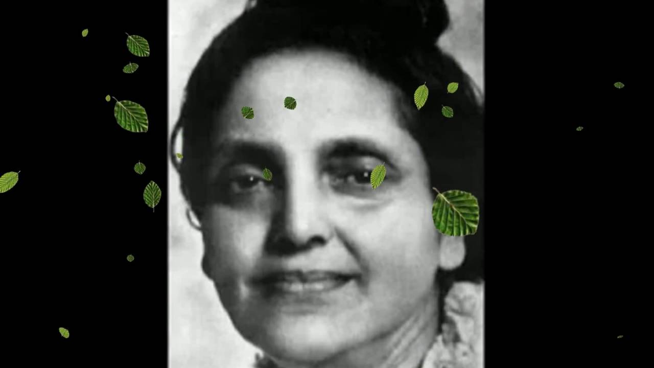Anandamayi Ma Kirtan:  Krishna Gopal