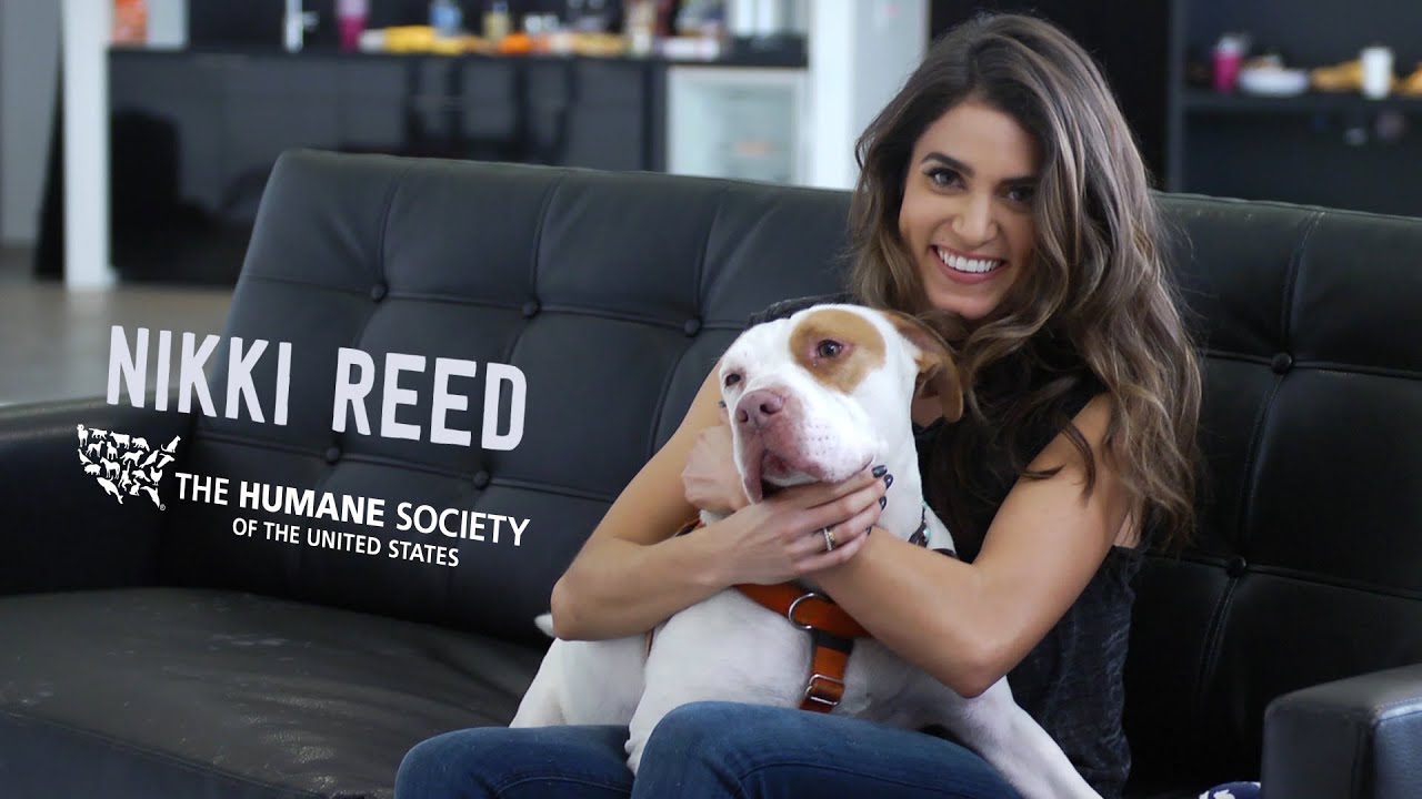 Nikki Reed Speaks Against Breed-Specific Legislation