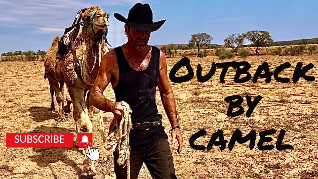 Outback by camel, Central Australia