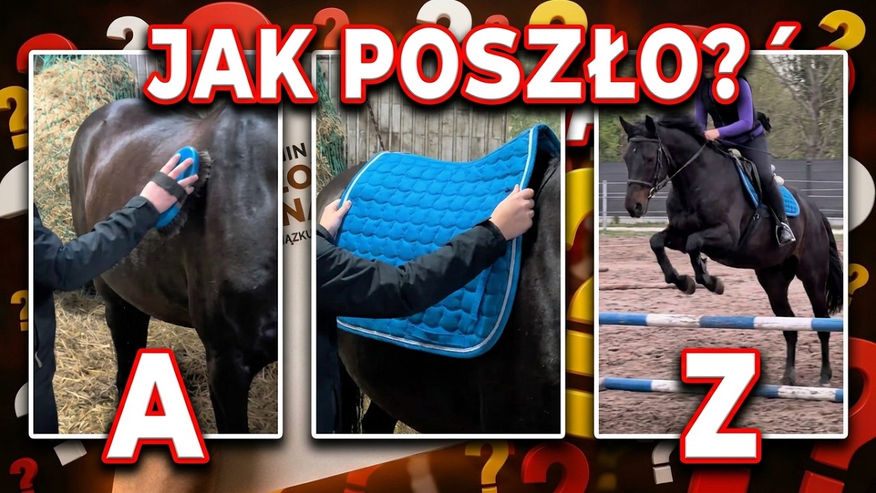 Pierwszy prawdziwy vlog w 2025r vol1