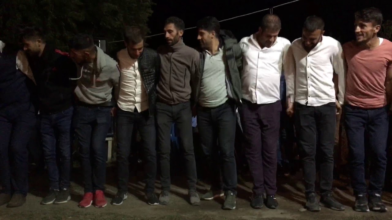Muş Korkut güven köy koçeri