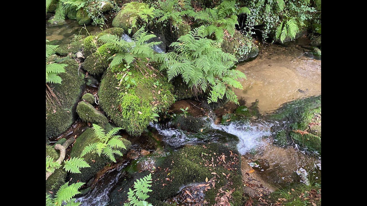 Time to be immersed in beauty - Route of Stone & Water - The Spiritual Variant Day 2