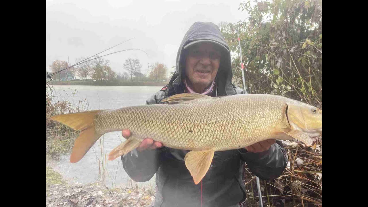 Pescando sotto la pioggia (fishing in the rain)