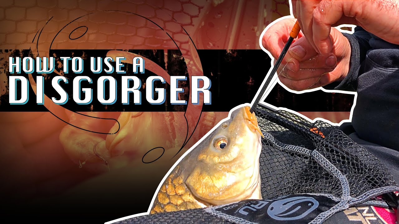 How to Use A Disgorger With Guru