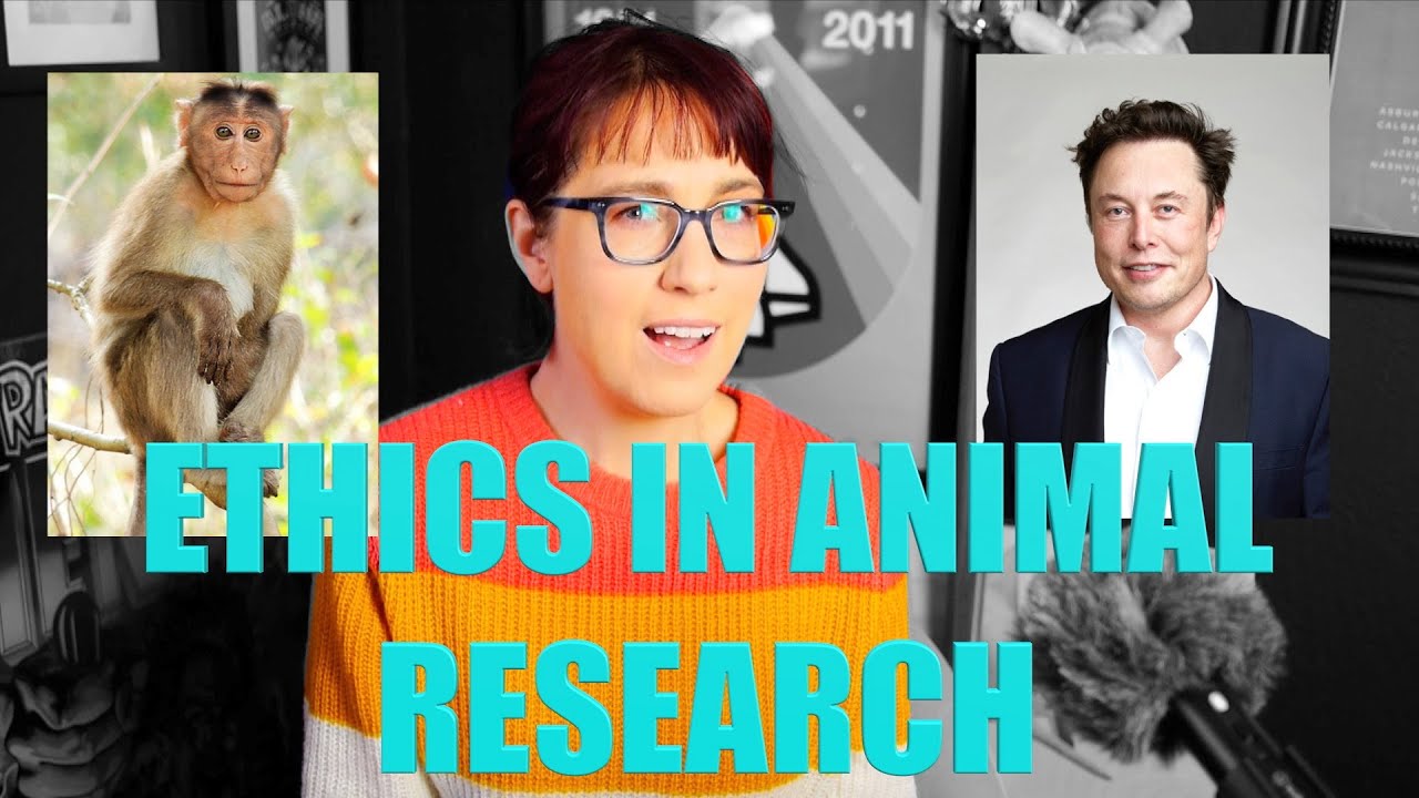 Elon Musk's Neuralink: Abusing Monkeys & Stealing Science?