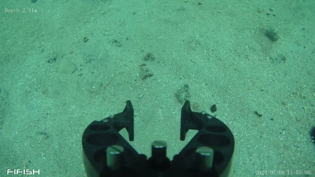 Learning controls of Fifish V-EVO