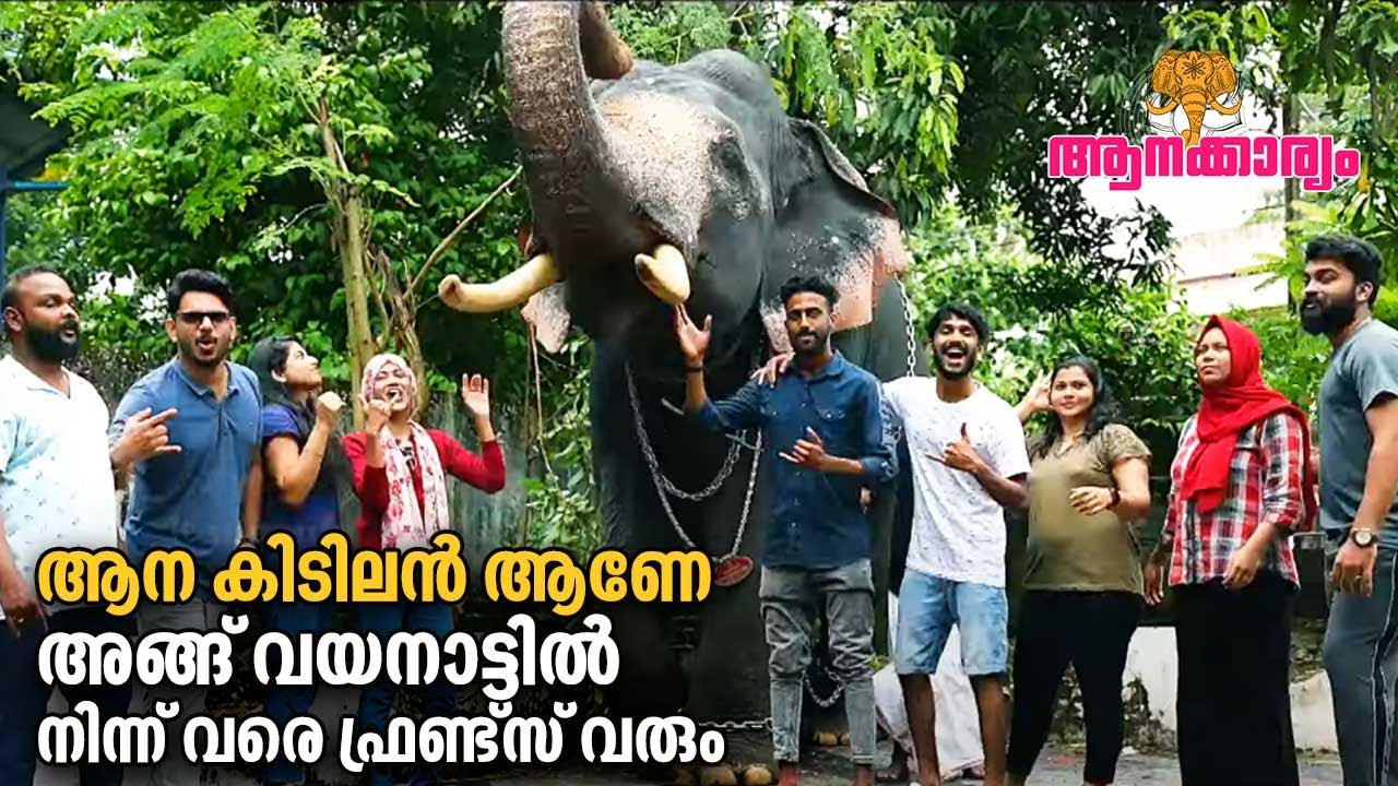 EP 27 | ആന കിടിലൻ ആണേ അങ്ങ് വയനാട്ടിൽ നിന്ന് വരെ ഫ്രണ്ട്‌സ് വരും 😍😄 | Aanakkaryam