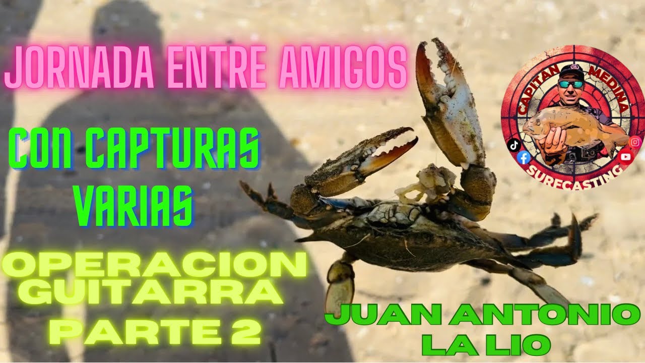 Jornada a Surfcasting entre amigos con variedad de especies muu wapas .🤗🐟🎣