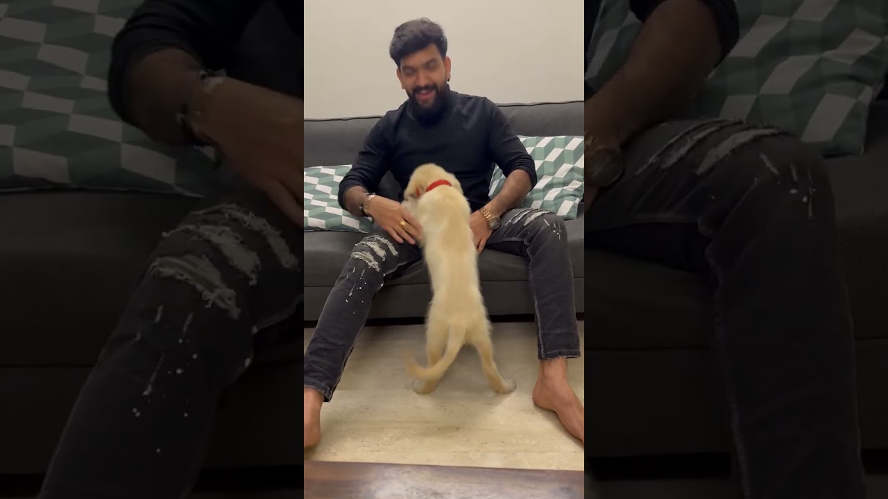 Puppy love🐶 | Roopesh Shetty| Kulfi | Dog Lover |#Dog #Pet #Shorts