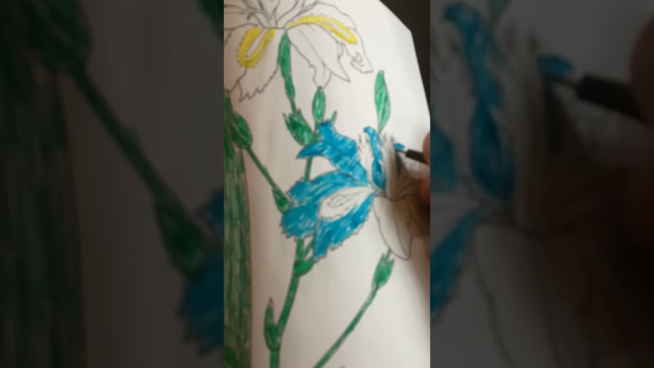 Doing some art not finished yet 